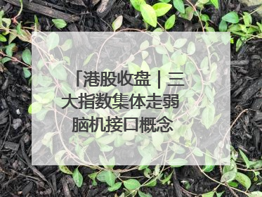 港股收盘｜三大指数集体走弱 脑机接口概念股逆势走强