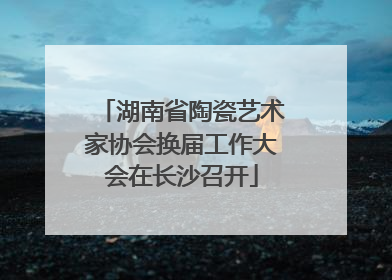 湖南省陶瓷艺术家协会换届工作大会在长沙召开