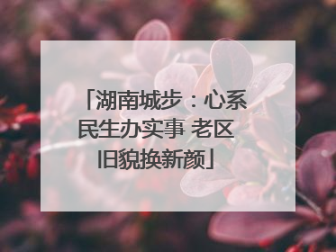 湖南城步：心系民生办实事 老区旧貌换新颜