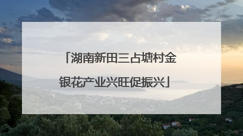 湖南新田三占塘村金银花产业兴旺促振兴