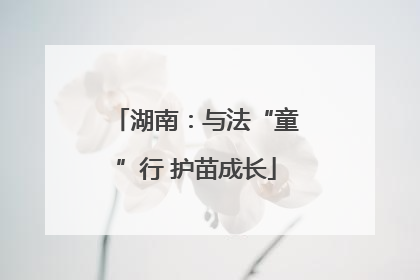 湖南：与法“童”行 护苗成长