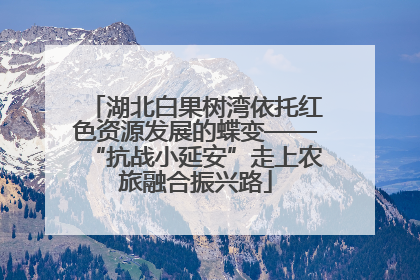 湖北白果树湾依托红色资源发展的蝶变——“抗战小延安”走上农旅融合振兴路