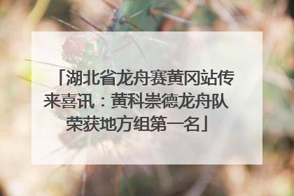 湖北省龙舟赛黄冈站传来喜讯：黄科崇德龙舟队荣获地方组第一名