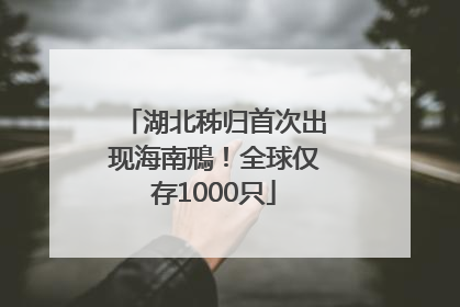 湖北秭归首次出现海南鳽！全球仅存1000只