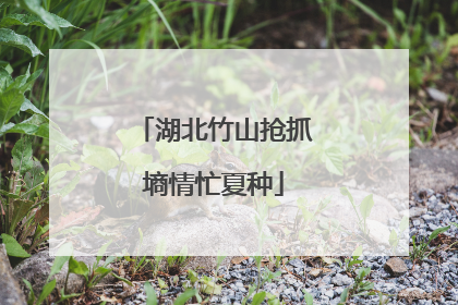 湖北竹山抢抓墒情忙夏种
