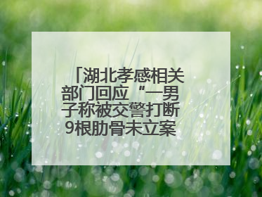 湖北孝感相关部门回应“一男子称被交警打断9根肋骨未立案”：已成立联合专班开展工作