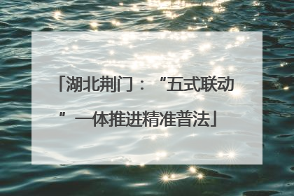 湖北荆门：“五式联动”一体推进精准普法