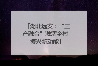 湖北远安：“三产融合”激活乡村振兴新动能
