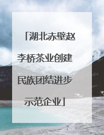湖北赤壁赵李桥茶业创建民族团结进步示范企业