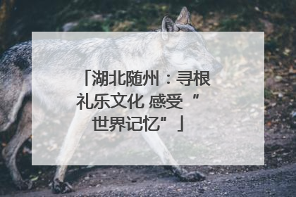 湖北随州：寻根礼乐文化 感受“世界记忆”