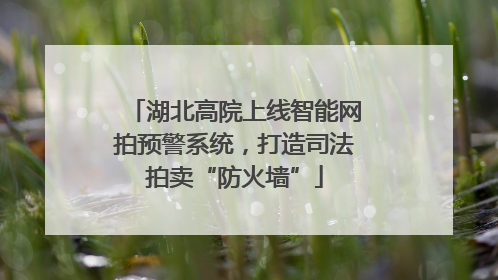 湖北高院上线智能网拍预警系统，打造司法拍卖“防火墙”