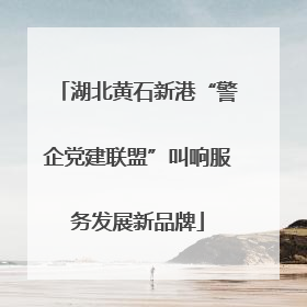 湖北黄石新港“警企党建联盟”叫响服务发展新品牌