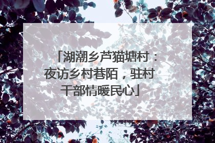 湖潮乡芦猫塘村：夜访乡村巷陌，驻村干部情暖民心