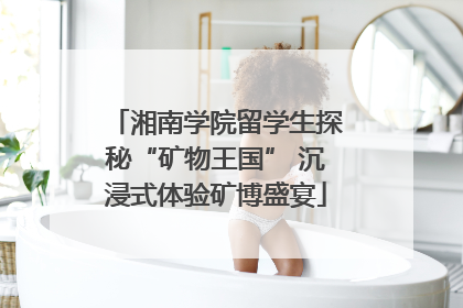 湘南学院留学生探秘“矿物王国” 沉浸式体验矿博盛宴
