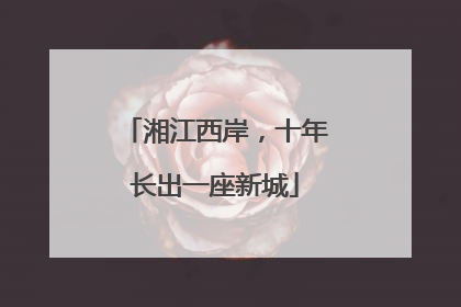 湘江西岸，十年长出一座新城