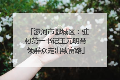 漯河市郾城区：驻村第一书记王元明带领群众走出致富路