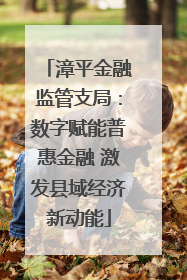 漳平金融监管支局：数字赋能普惠金融 激发县域经济新动能