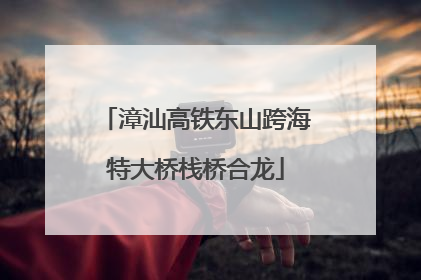 漳汕高铁东山跨海特大桥栈桥合龙