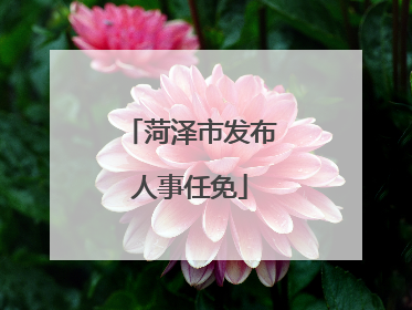 菏泽市发布人事任免