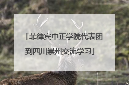 菲律宾中正学院代表团到四川崇州交流学习