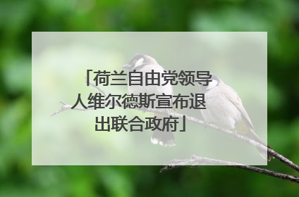 荷兰自由党领导人维尔德斯宣布退出联合政府