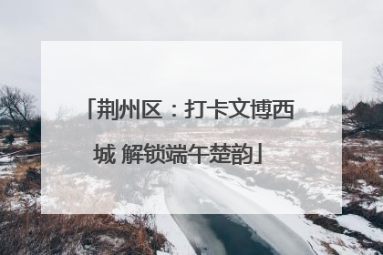 荆州区：打卡文博西城 解锁端午楚韵