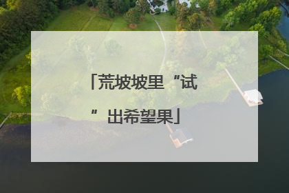 荒坡坡里“试”出希望果