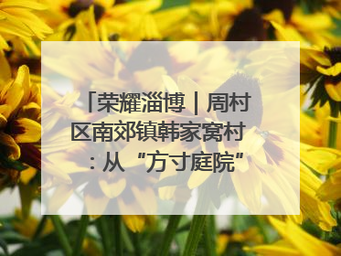 荣耀淄博｜周村区南郊镇韩家窝村：从“方寸庭院”到“全域文明”，乡村振兴的“美学革命”