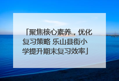 聚焦核心素养，优化复习策略 乐山县街小学提升期末复习效率