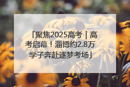 聚焦2025高考｜高考启幕！淄博约2.8万学子奔赴逐梦考场