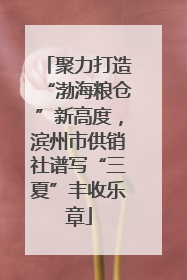 聚力打造“渤海粮仓”新高度，滨州市供销社谱写“三夏”丰收乐章