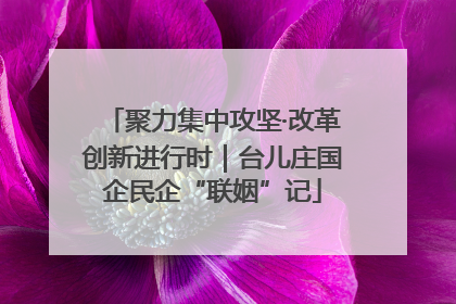 聚力集中攻坚·改革创新进行时｜台儿庄国企民企“联姻”记
