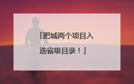 肥城两个项目入选省级目录！