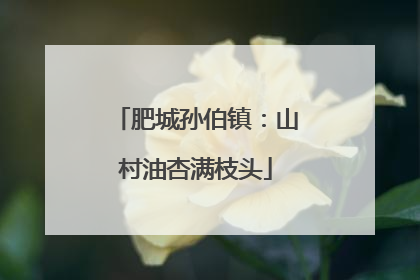 肥城孙伯镇：山村油杏满枝头