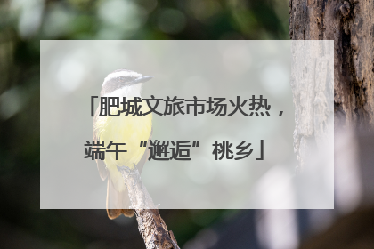 肥城文旅市场火热，端午“邂逅”桃乡