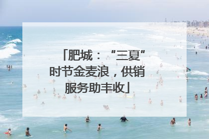 肥城：“三夏”时节金麦浪，供销服务助丰收