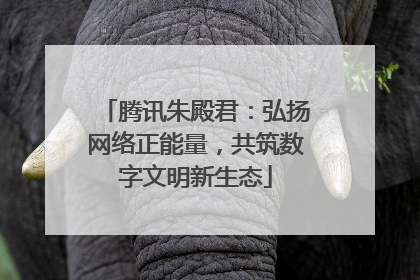 腾讯朱殿君：弘扬网络正能量，共筑数字文明新生态