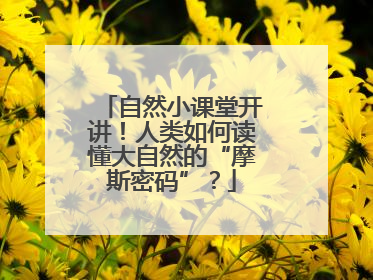 自然小课堂开讲！人类如何读懂大自然的“摩斯密码”？