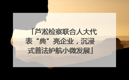 芦淞检察联合人大代表“典”亮企业，沉浸式普法护航小微发展