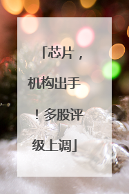 芯片，机构出手！多股评级上调