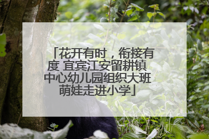 花开有时，衔接有度 宜宾江安留耕镇中心幼儿园组织大班萌娃走进小学