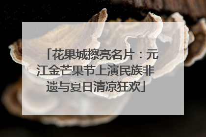 花果城擦亮名片：元江金芒果节上演民族非遗与夏日清凉狂欢