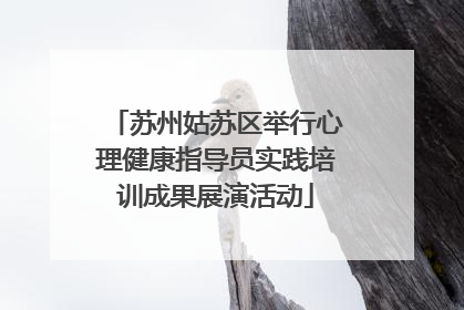 苏州姑苏区举行心理健康指导员实践培训成果展演活动
