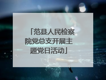 范县人民检察院党总支开展主题党日活动