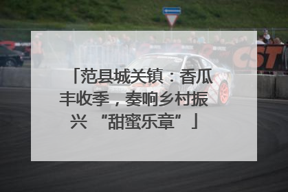 范县城关镇：香瓜丰收季，奏响乡村振兴 “甜蜜乐章”