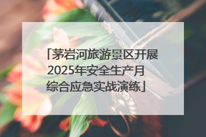 茅岩河旅游景区开展2025年安全生产月综合应急实战演练