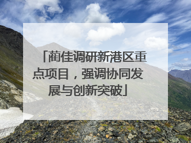 蔺佳调研新港区重点项目，强调协同发展与创新突破