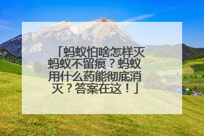蚂蚁怕啥怎样灭蚂蚁不留痕？蚂蚁用什么药能彻底消灭？答案在这！