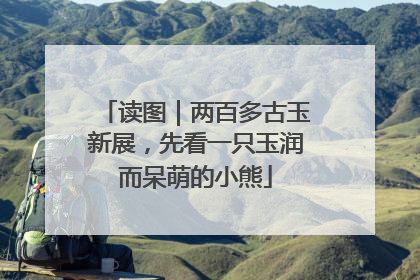 读图｜两百多古玉新展，先看一只玉润而呆萌的小熊