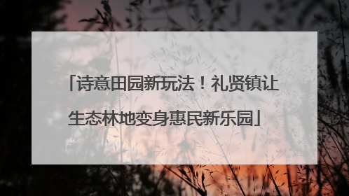 诗意田园新玩法！礼贤镇让生态林地变身惠民新乐园